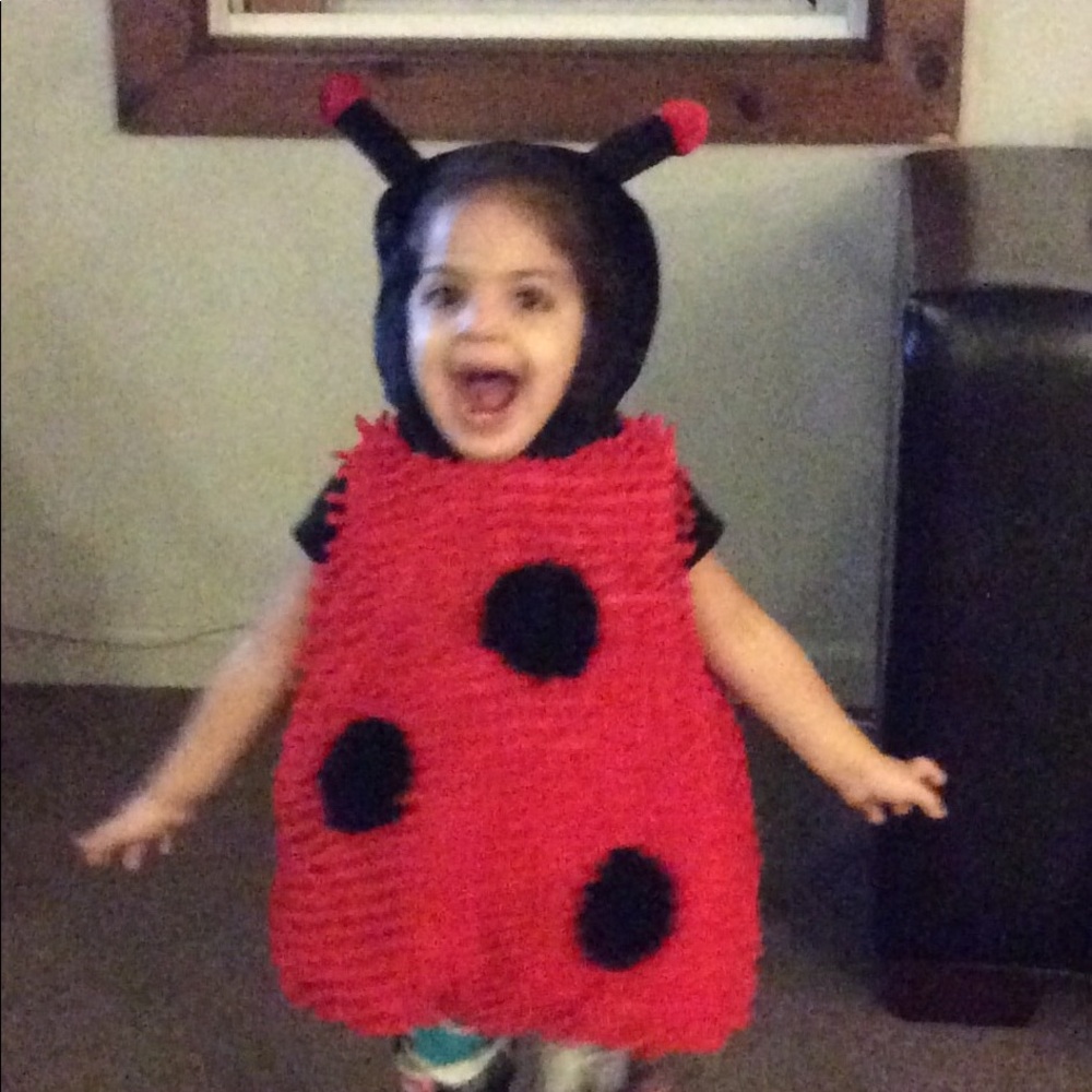 Ladybug Halloween costume size 24 months